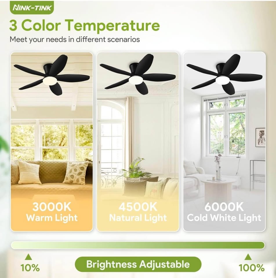 Nink Tink Small Ceiling Fan with Light - 42 Inch Flush Mount - photo 4