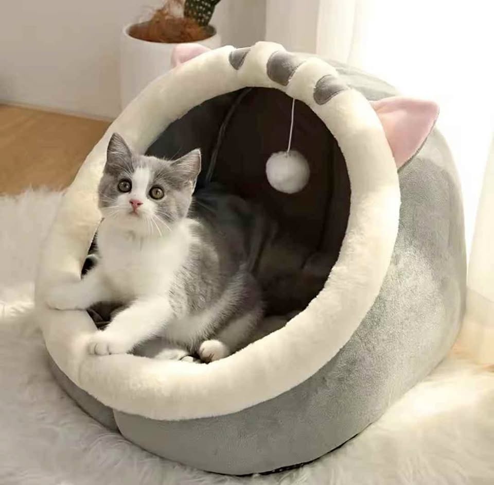 Pet cute sleeping bed