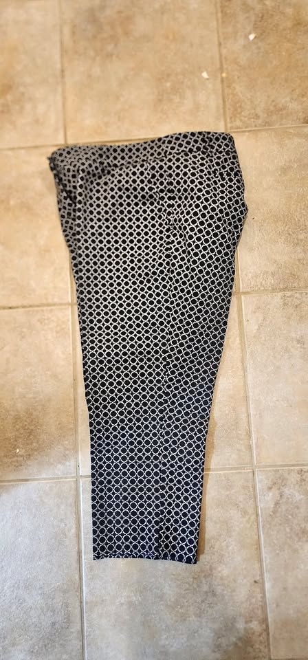 Hilary Radley Grey Dress Pants Size 14