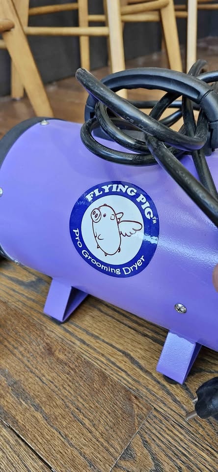 Pro Grooming Dryer