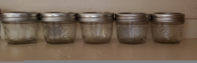 Mason Jars - 10 Regular & Red Top Jars