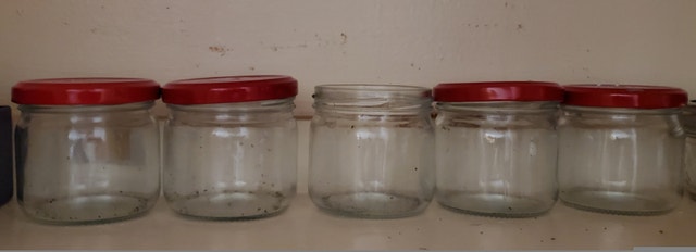 Mason Jars - 10 Regular & Red Top Jars - photo 2