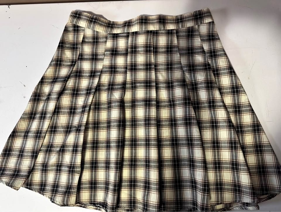 Small Pleated Skirt (Ardene)