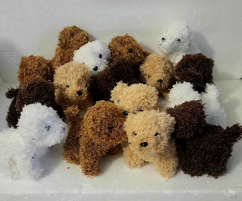Stuffed toys, mini curly dogs, toys 16 pieces. - photo 2