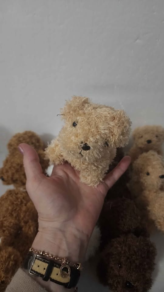 Stuffed toys, mini curly dogs, toys 16 pieces. - photo 4