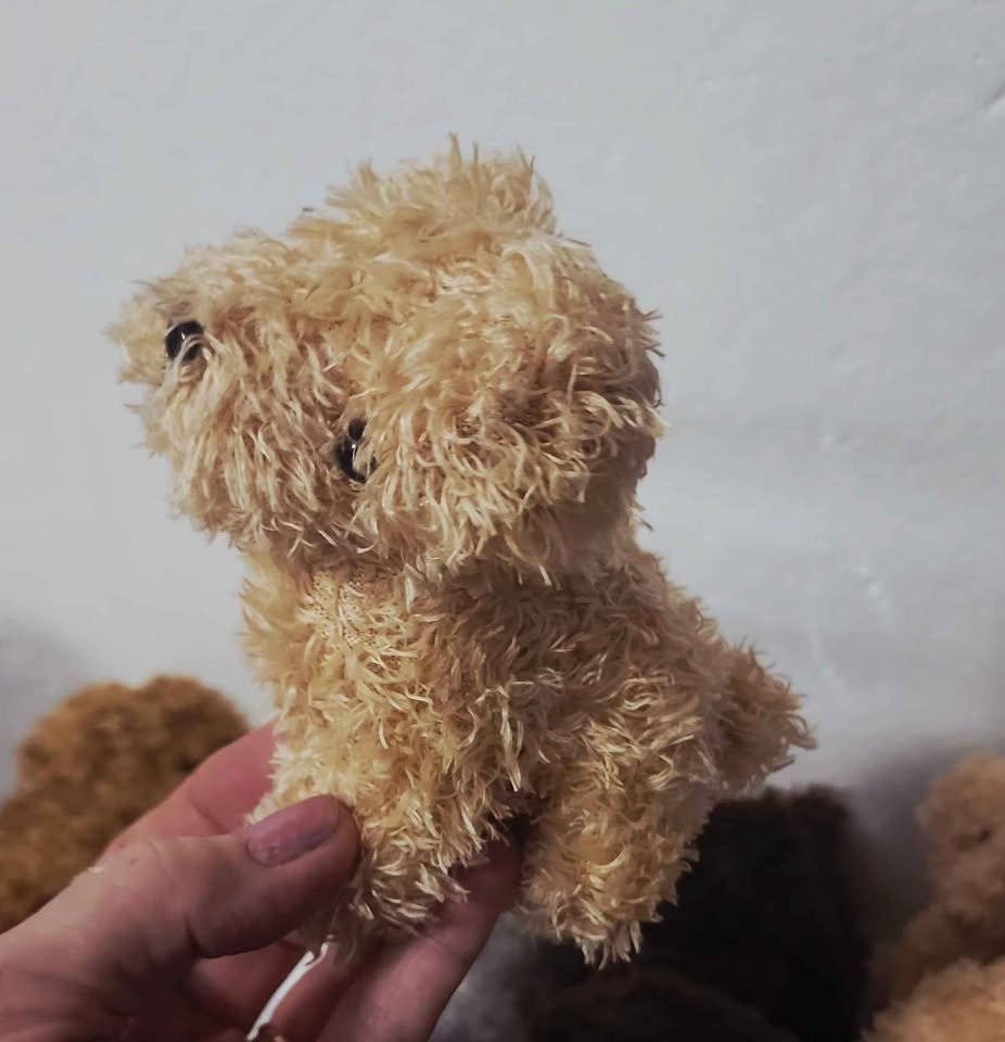 Stuffed toys, mini curly dogs, toys 16 pieces. - photo 5