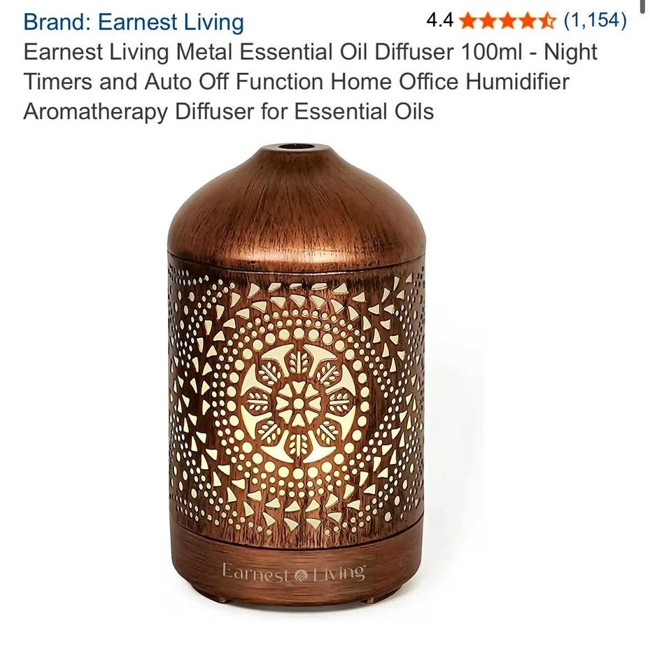 Earnest Living Metal Essential Oil Diffuser 100ml (Box Dented)