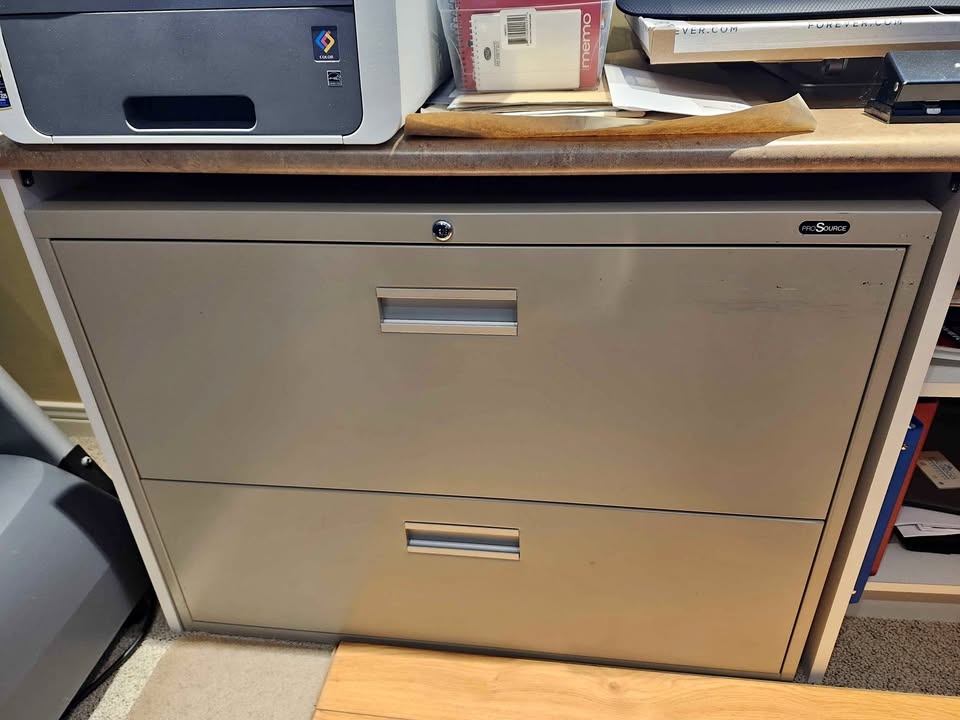 PRO SOURCE 2 Drawer Lateral File Metal Credenza