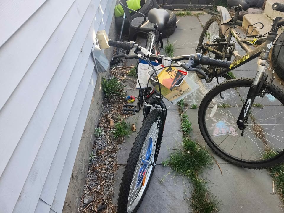 New Bike for Sale - photo 3