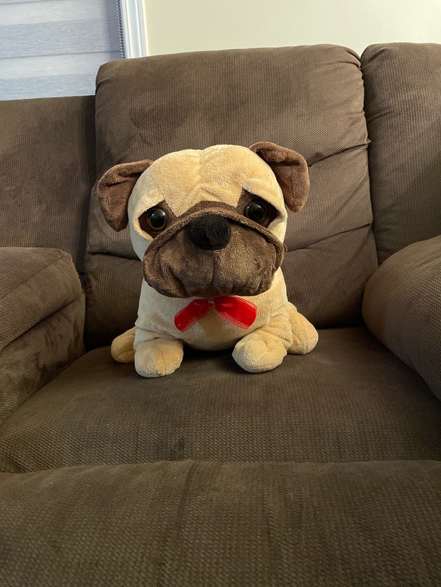 CUTE DOG PLUSHIE