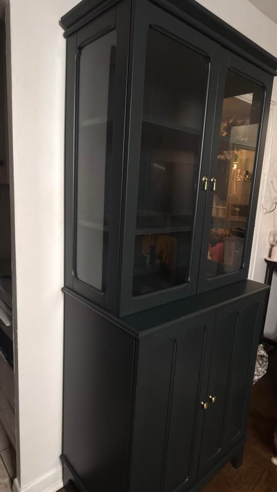 Ikea LOMMARP Cabinet with Glass Door - Moving Sale - photo 5