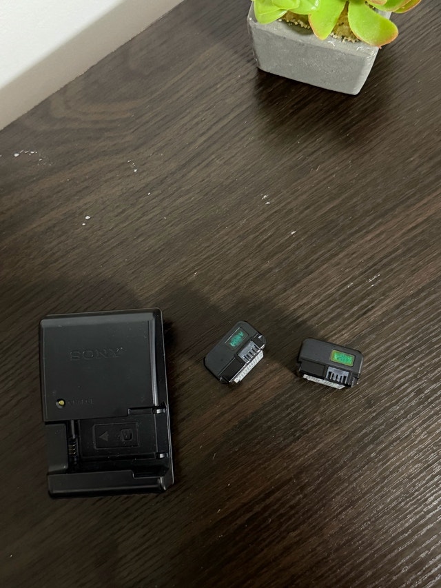 2 Original NP-FW50 With Charger