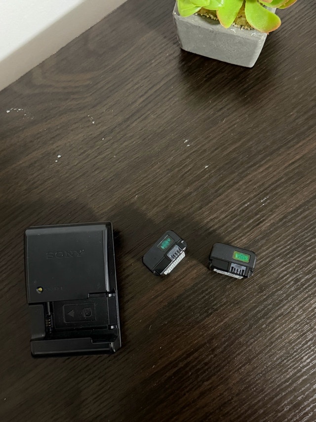 2 Original NP-FW50 With Charger - photo 4