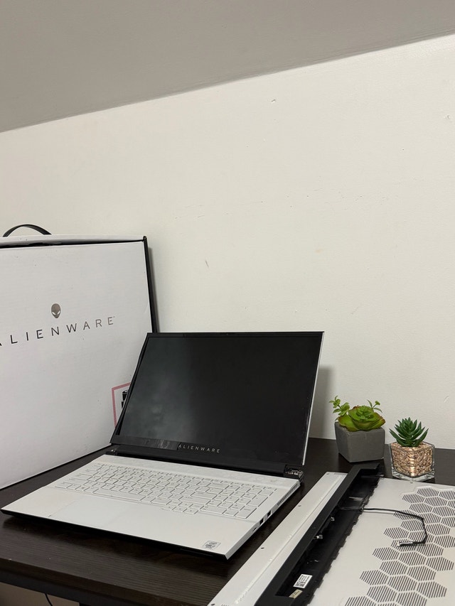 AlienWare M17 R3 RTX 2070 Super 32GB RAM