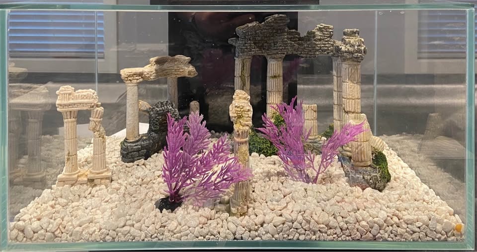 Fish Tank & Accessories 23 Litres