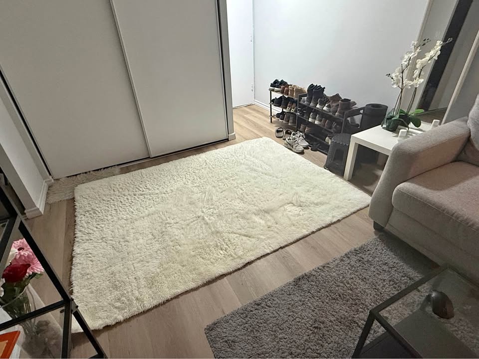 Ultra-Soft Luxury Shag Rug  plus storage box