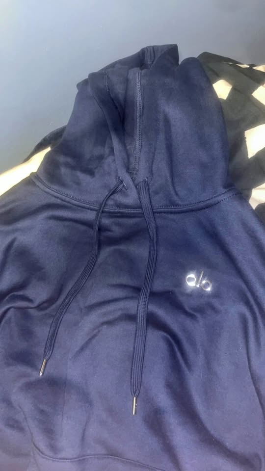 Alo Accolade Navy Blue Hoodie - Size Medium