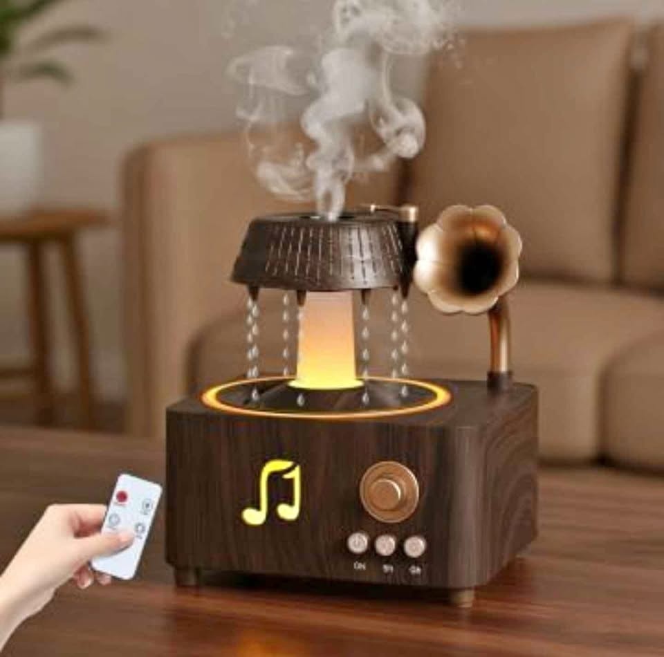 Raindrop Humidifier, Vintage Record Diffuser