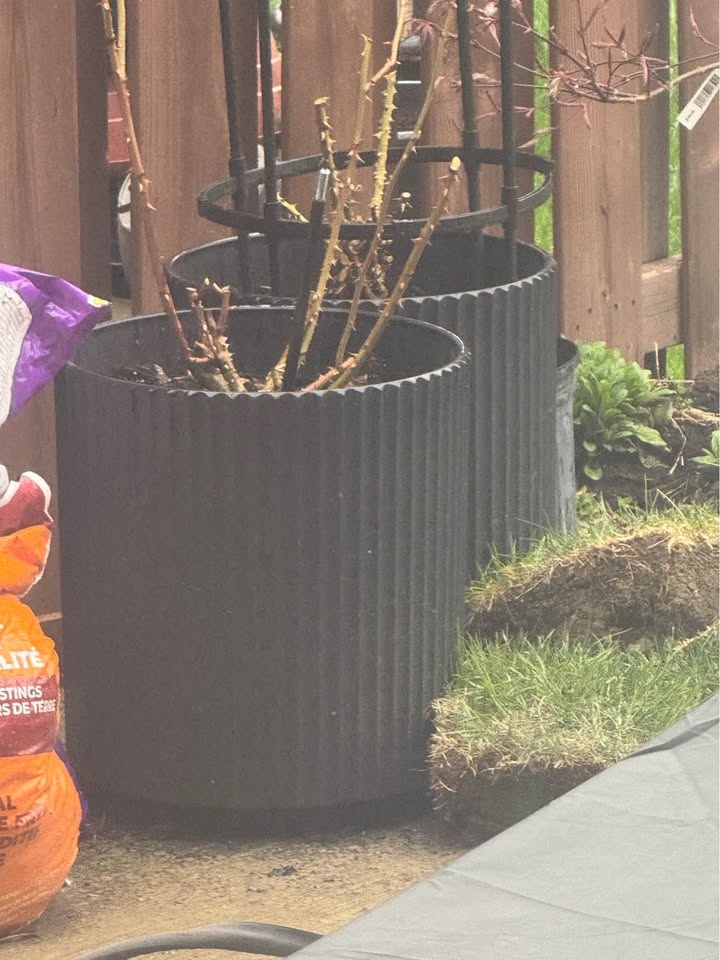 Planter Pots - photo 2