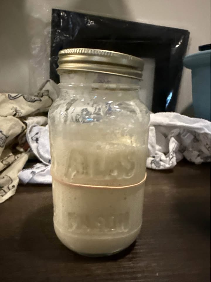 Sourdough Starter — “Jane” | Handcrafted in Ontario - photo 2