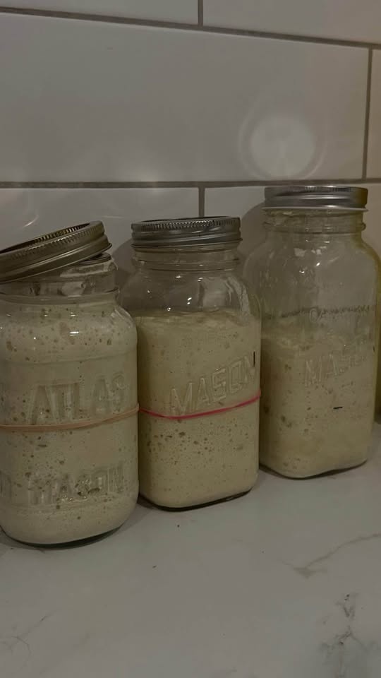 Sourdough Starter — “Jane” | Handcrafted in Ontario - photo 4