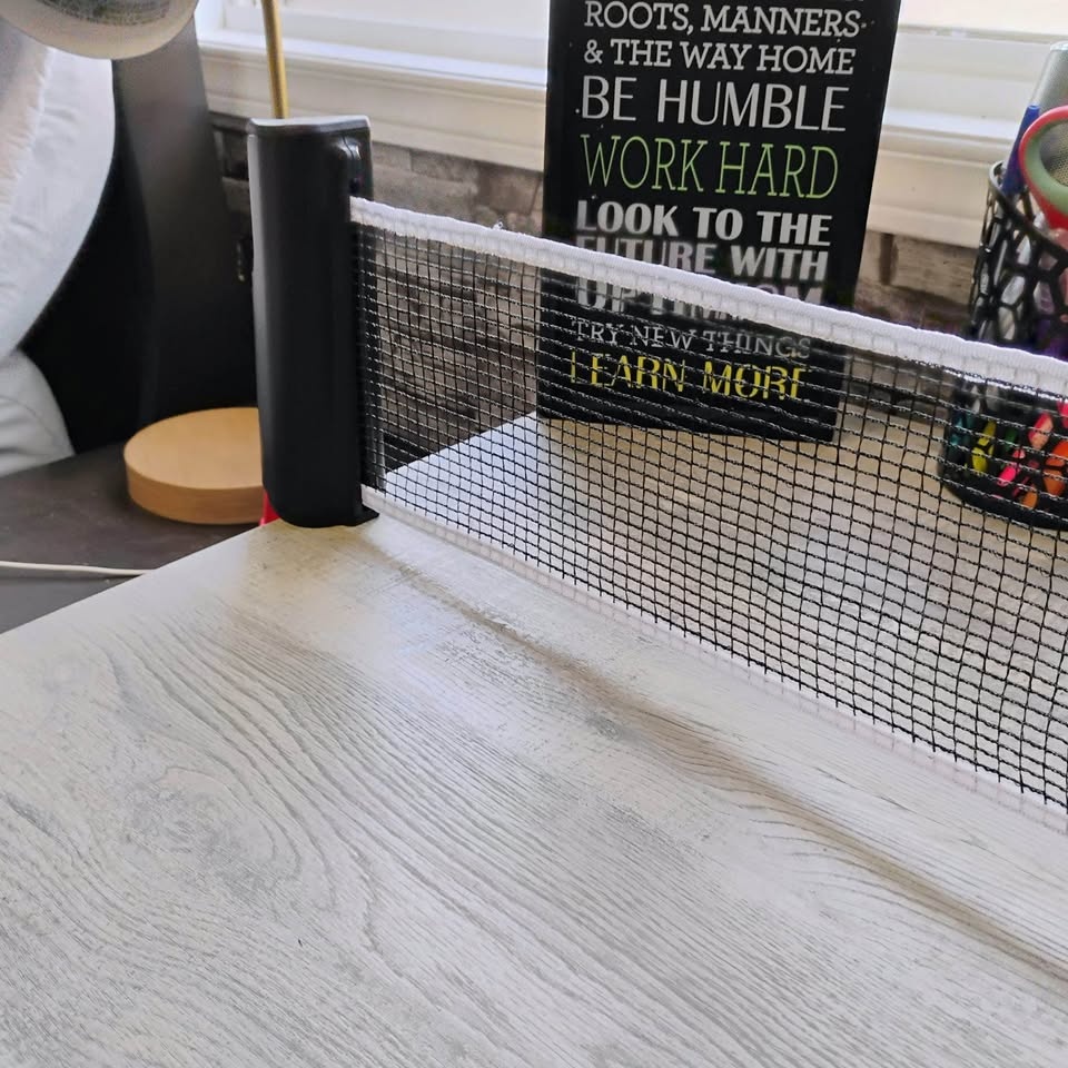 Ping Pong Net - photo 3