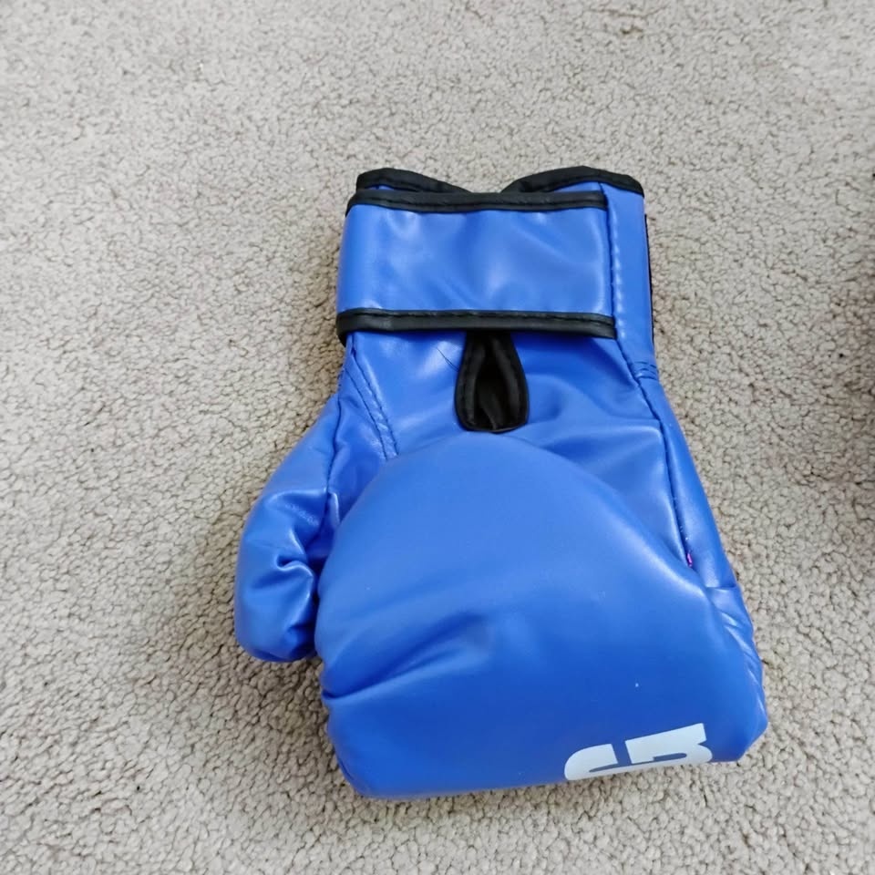 Boxing Gloves - photo 2
