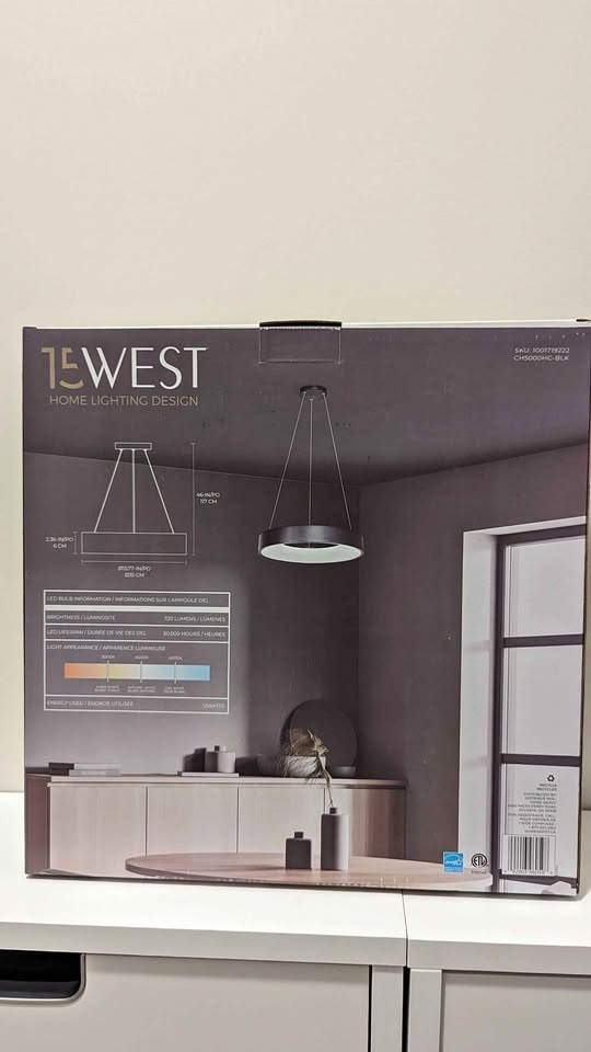 Storage Clear out | Circular Pendant Light