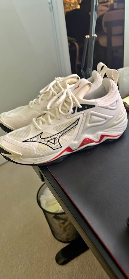 Mizuno Wave Momentum Men's Volleyball Shoes Size 8 US