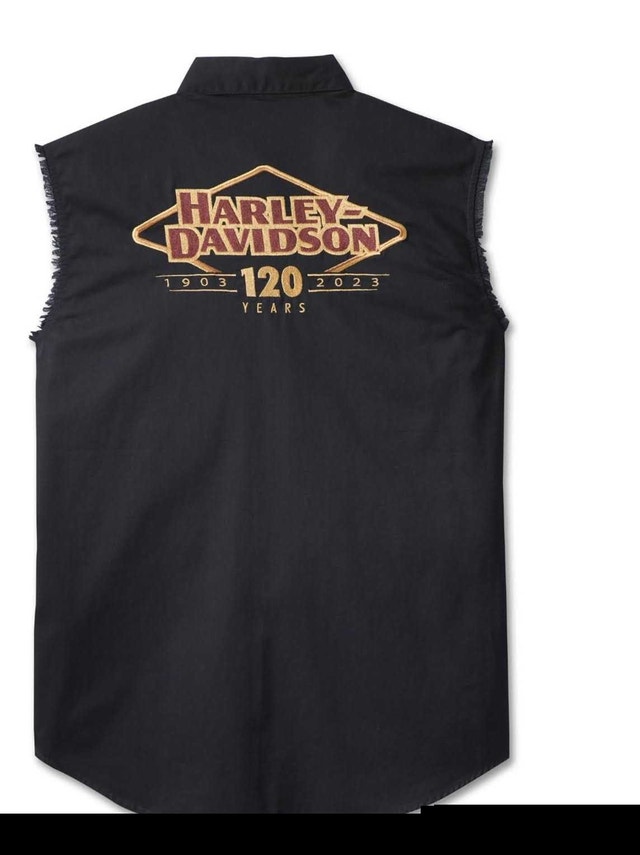 Harley Davidson Blowout - Men's 120th Anniversary Shirt