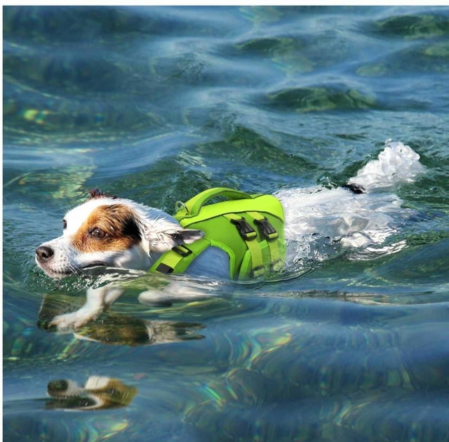 Queenmore Dog Life Jacket - photo 5