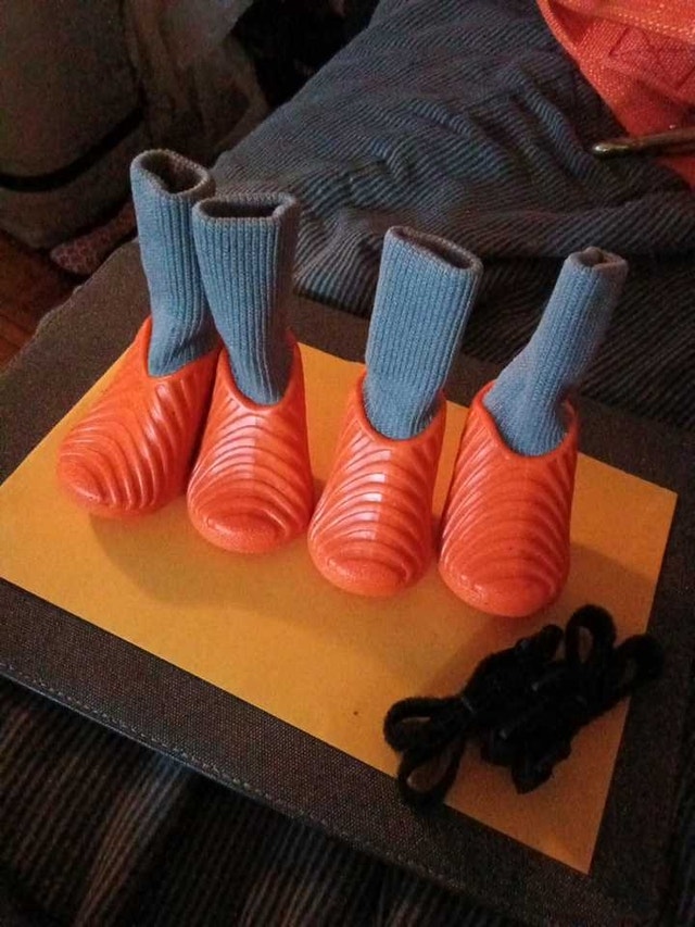 Dog Boots