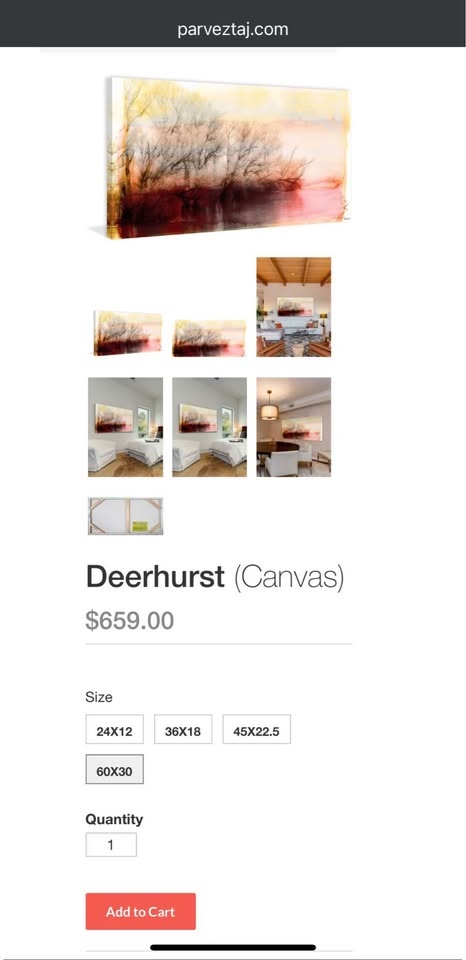 “Deerhurst” Parvez Canvas Art - photo 5