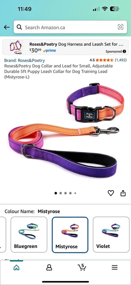 Roses&Poetry Dog Collar & Leash Collar