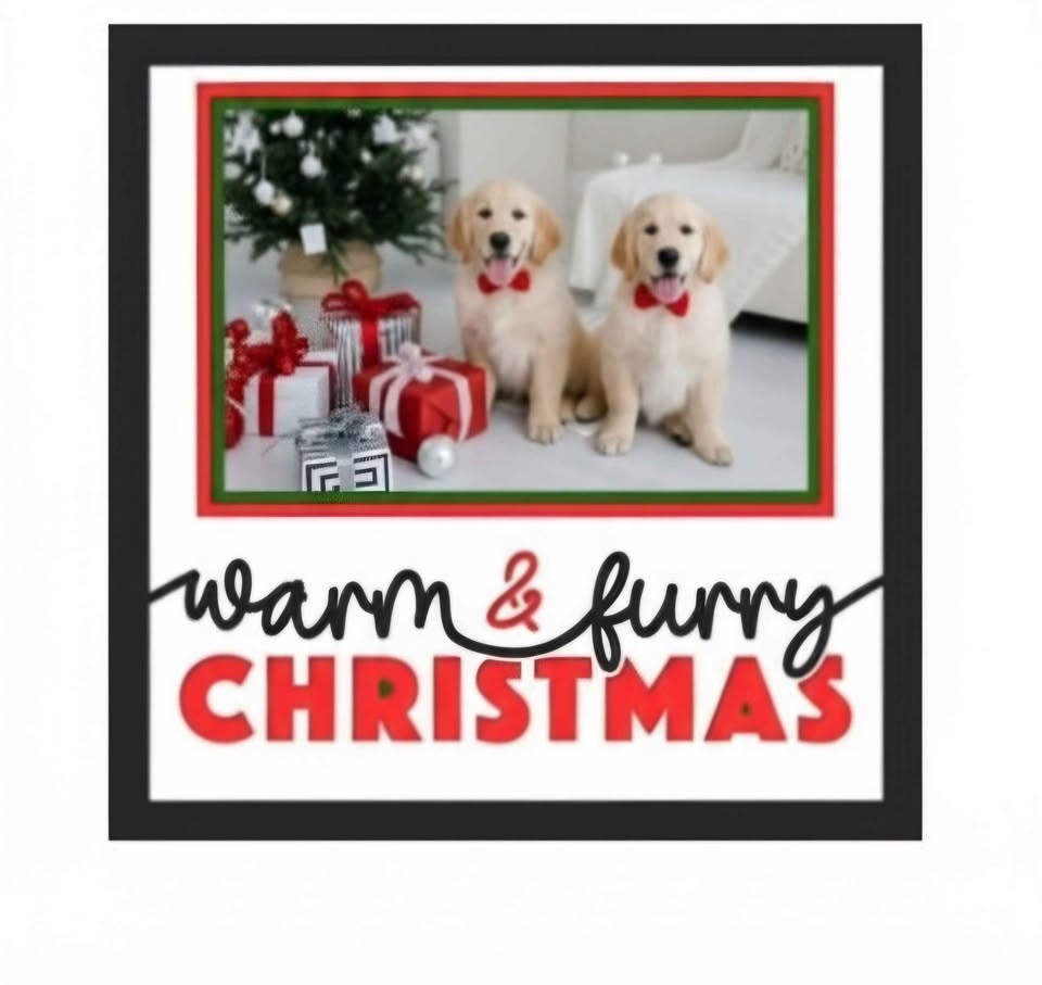 Personalized Frame Inserts & Custom Border Color Prints - photo 4