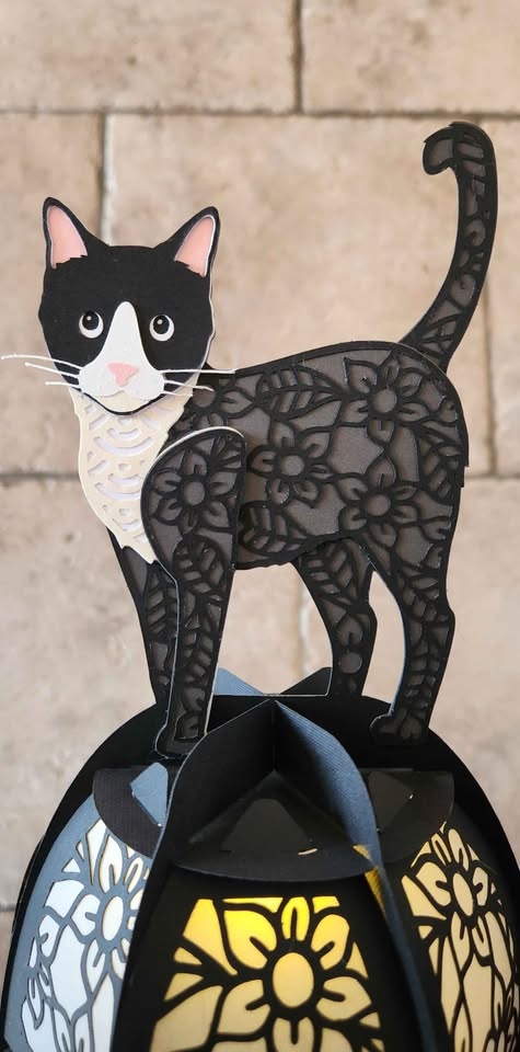 Easter Lanterns - Cat, Bunny, Egg - Colorful - photo 2