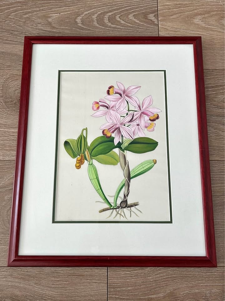 Original Hand-Painted Orchid Botanical on Fabric – Custom Framed