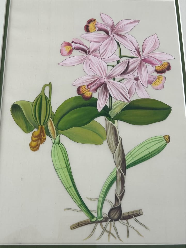 Original Hand-Painted Orchid Botanical on Fabric – Custom Framed - photo 3
