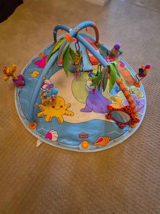 Tiny Love Infant Activity Gym - photo 3