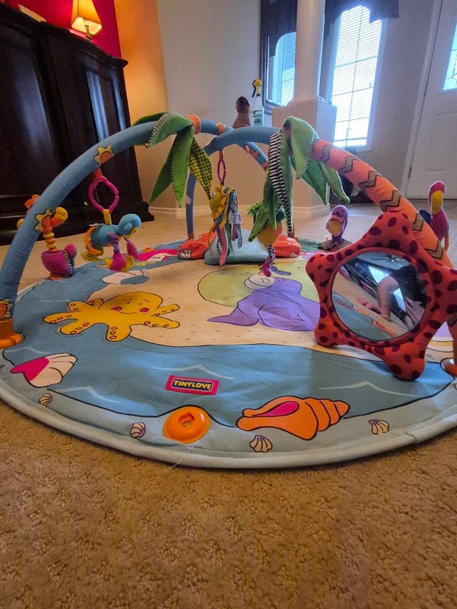 Tiny Love Infant Activity Gym - photo 4