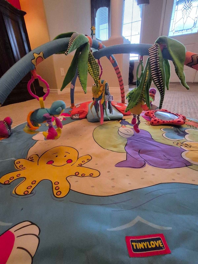 Tiny Love Infant Activity Gym - photo 5