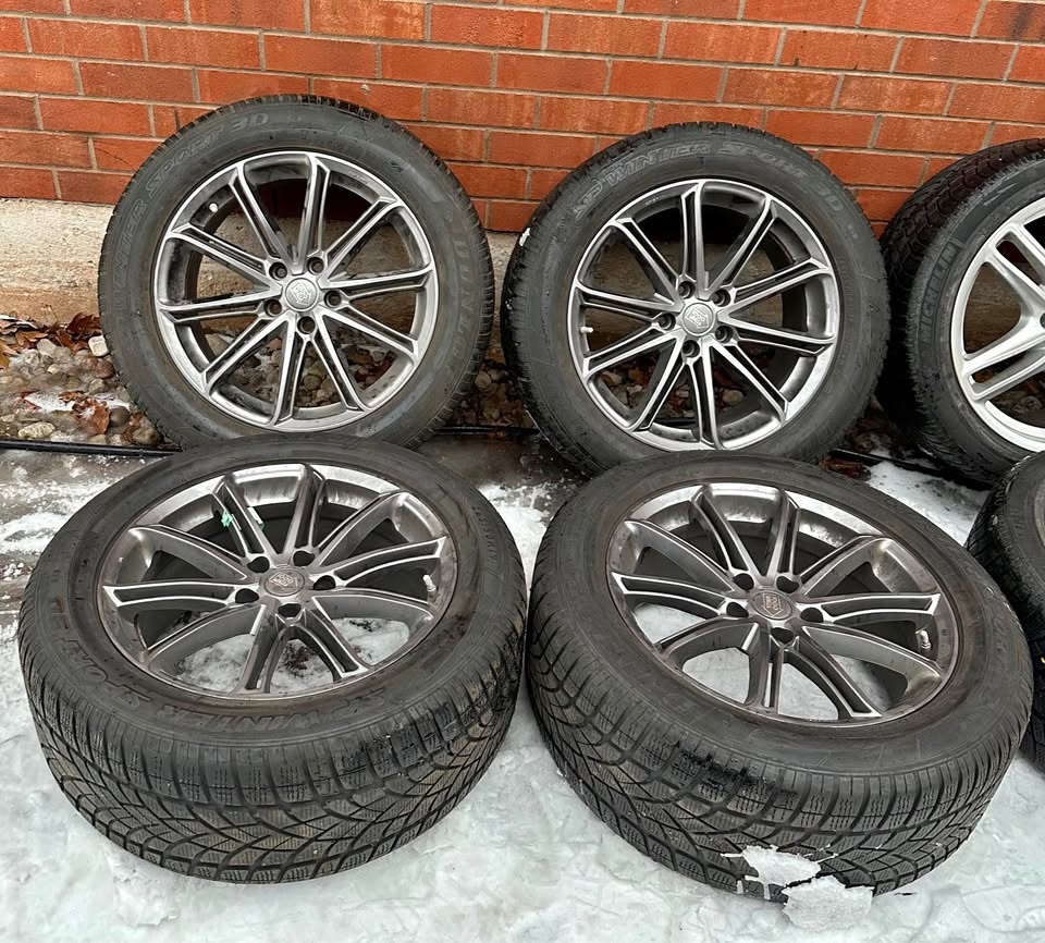 19” Tesla Model X Rims on Dunlop Winter Tires