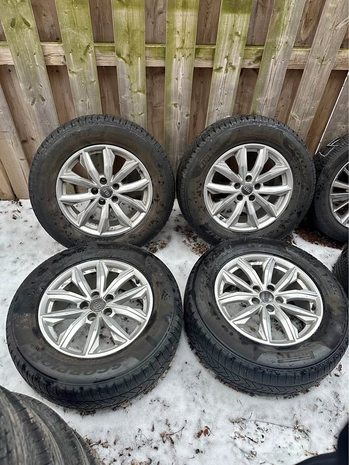 17” Audi Q5 Rims on Pirelli Winter Tires