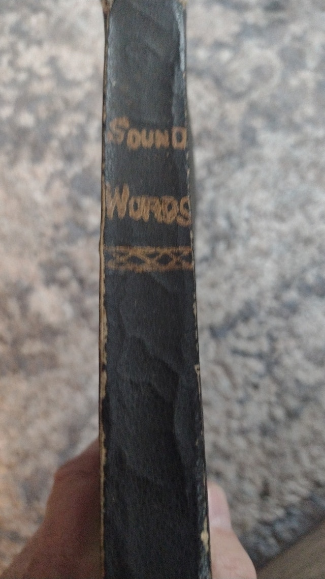 Antique Book: Sound Words (1878)