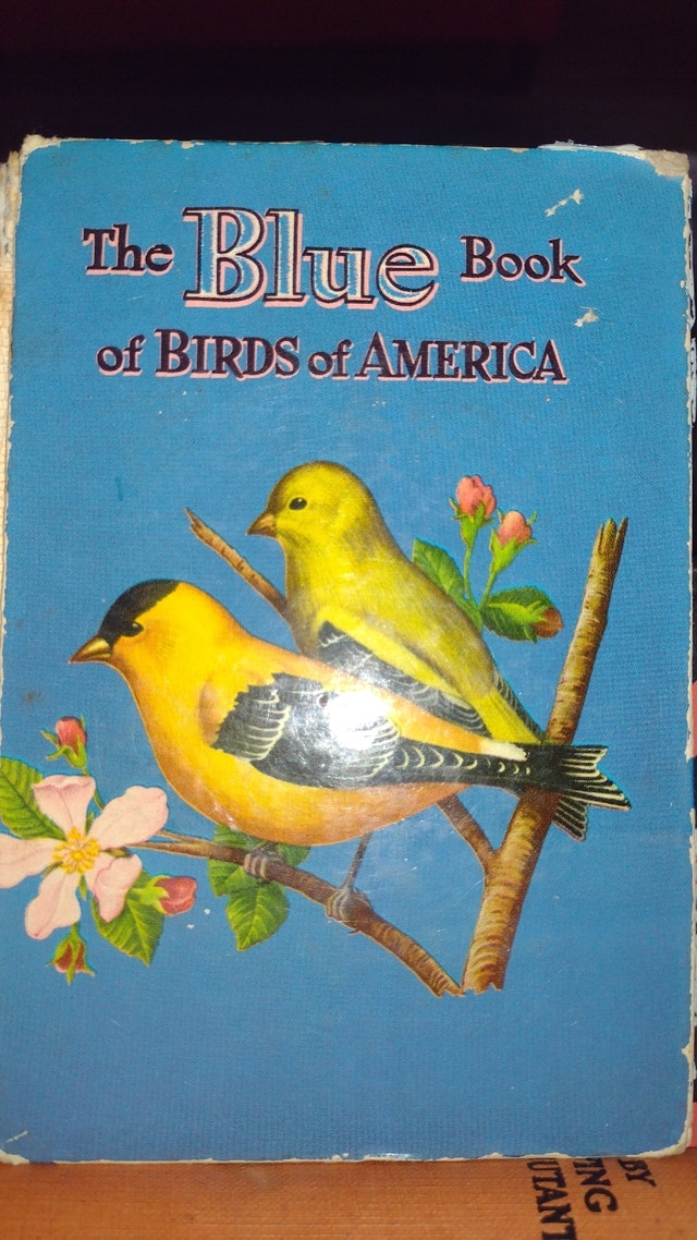 The Blue Book of Birds of America - 1930s Pocket Nature Guide