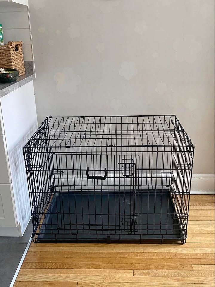 Collapsible 2-Door Dog Crate - Large, Black
