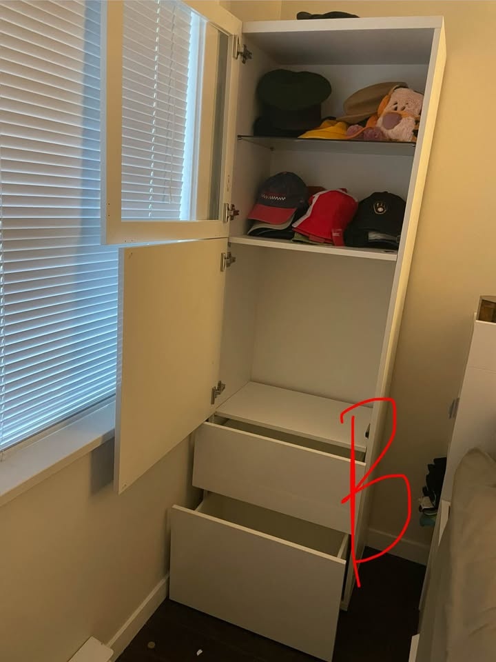 TALL IKEA BESTÅ Cabinet BOGO - photo 3