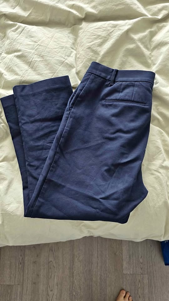 Ann Taylor Navy Blue Pants