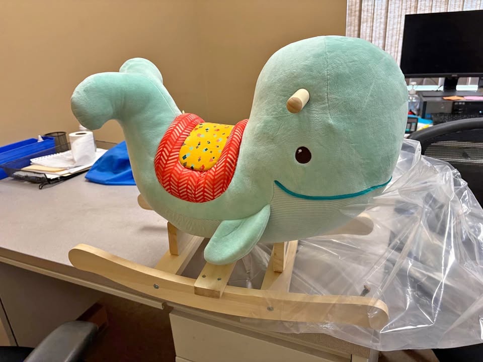 Brand new Whale Rocker