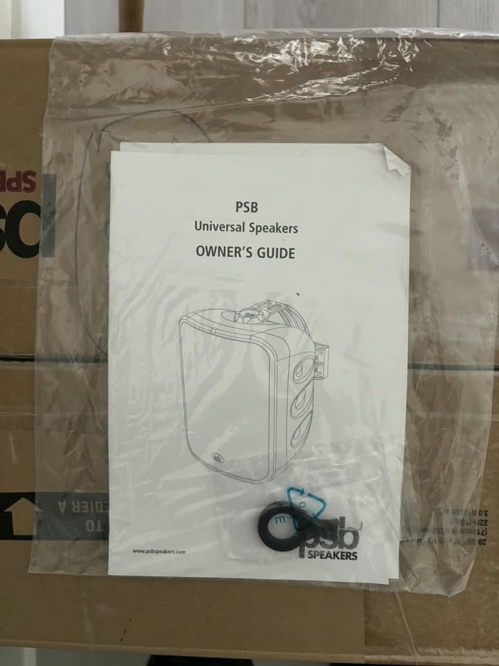 PSB CS1000 Indoor/Outdoor Speakers - photo 2